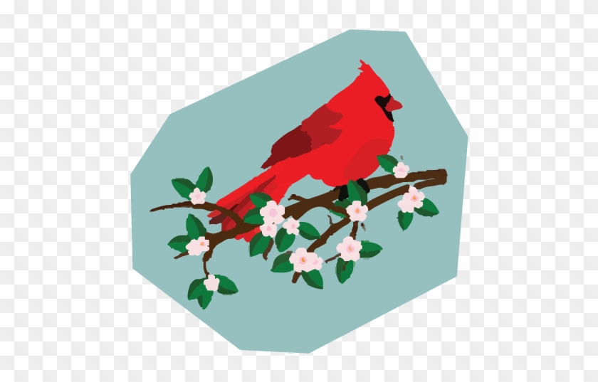 Cardinal In Branch Clipart #334744