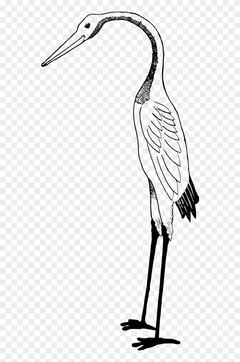 Stork Clipart By J4p4n - Stork Clipart Black And White #334834