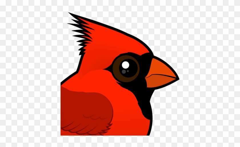 About The Northern Cardinal - Cartoon Kentucky Cardinal #334874