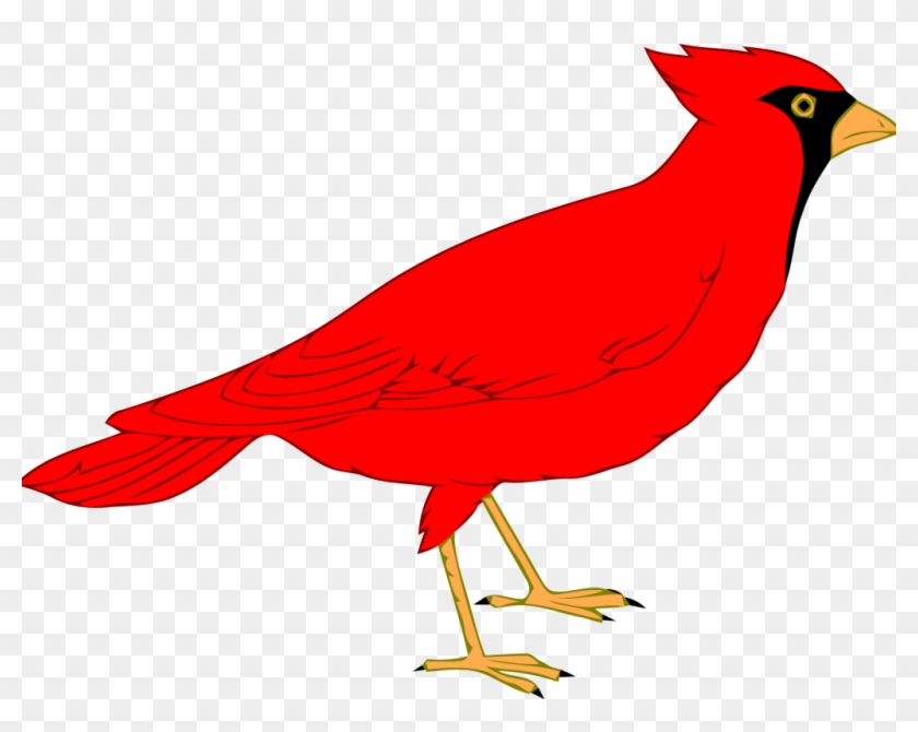 Northern Cardinal St - Cardinal Bird Clip Art #334890