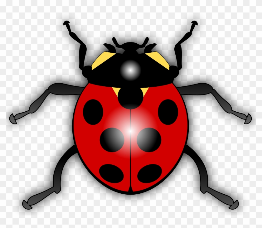 Beetle Clip Art Download - Animated Picture Of A Ladybug #334925