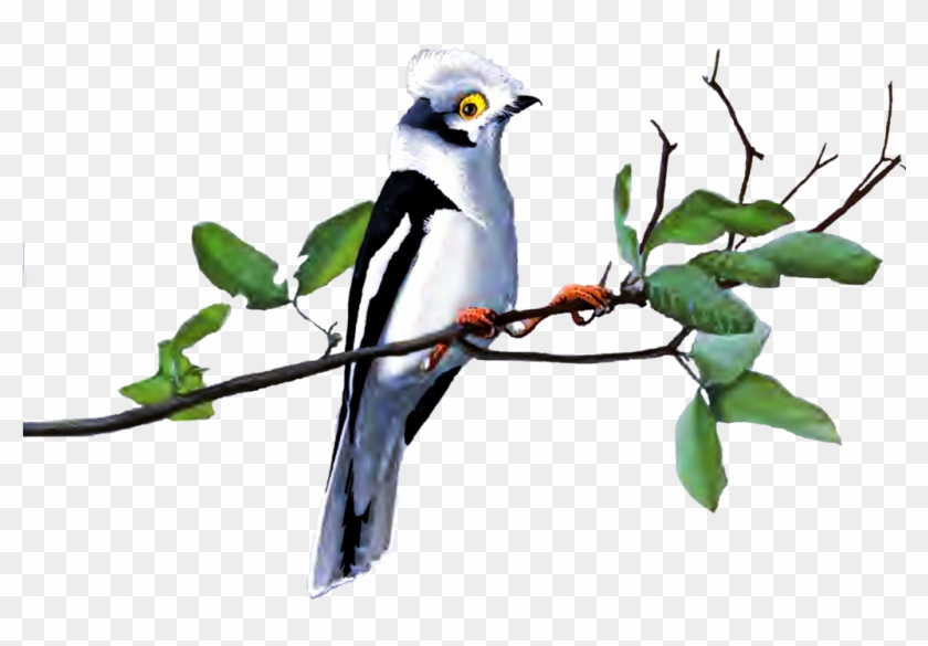 Bird Feeders Goose Clip Art - Bird Feeders Goose Clip Art #334954