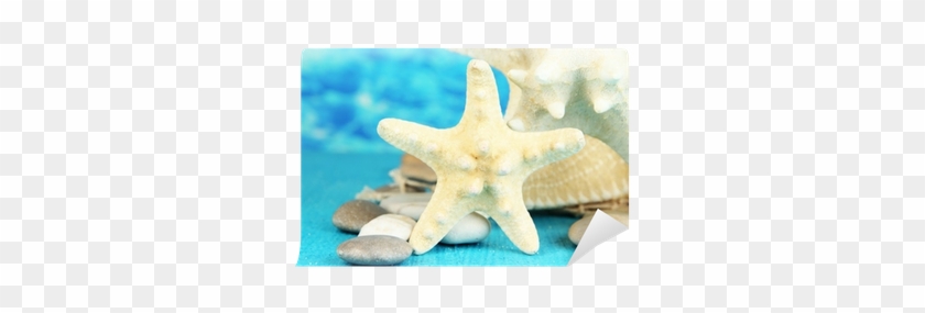 Fotomural Estrellas De Mar De Color Blanco Sobre La - Starfish #334959