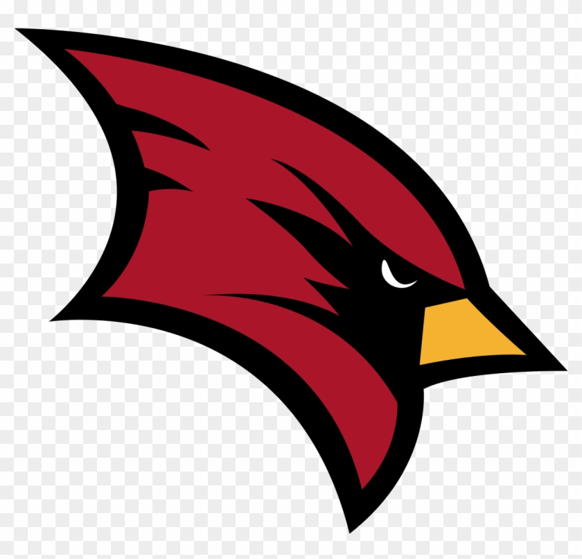 Saginaw Valley State University Athletics #334970