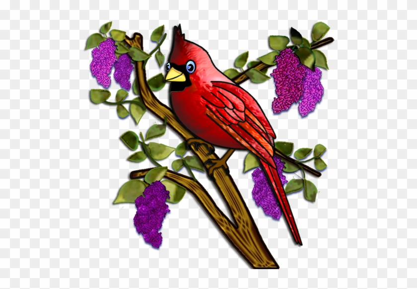 Cardinals&lilacs2 - Cardinal #334982