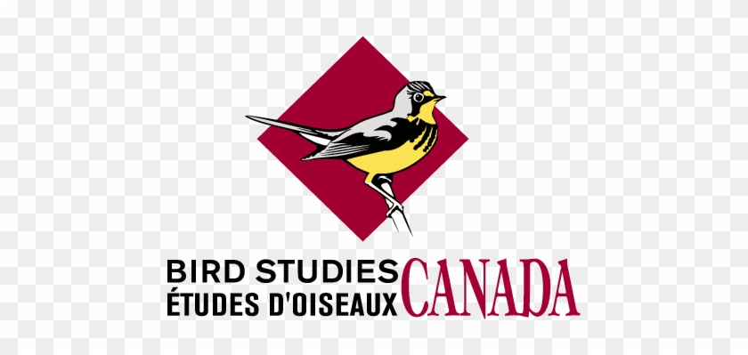 Hosted By Bird Studies Canada - Bird Studies Canada Logo #334993