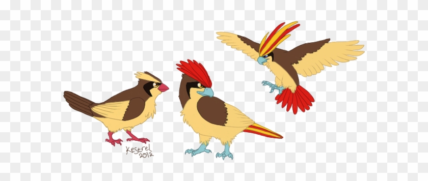 The Bird Pokemon By Snowykestrel - Bird Pokemon With Mohawk #335001