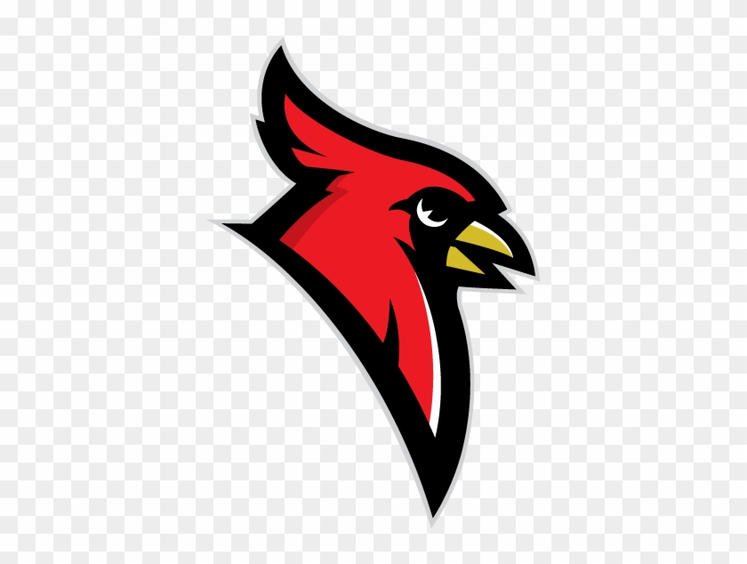 Dryden Cardinal - Dryden High School Mi #335020