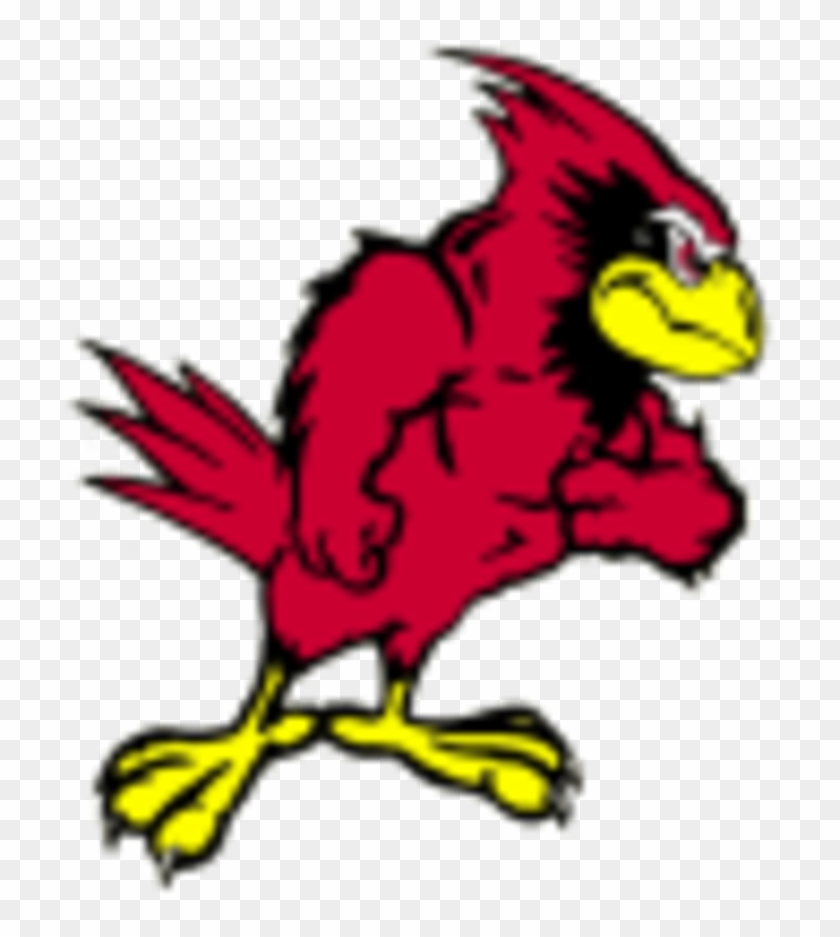 Benton Cardinals - Benton High School St Joseph Mo #335032