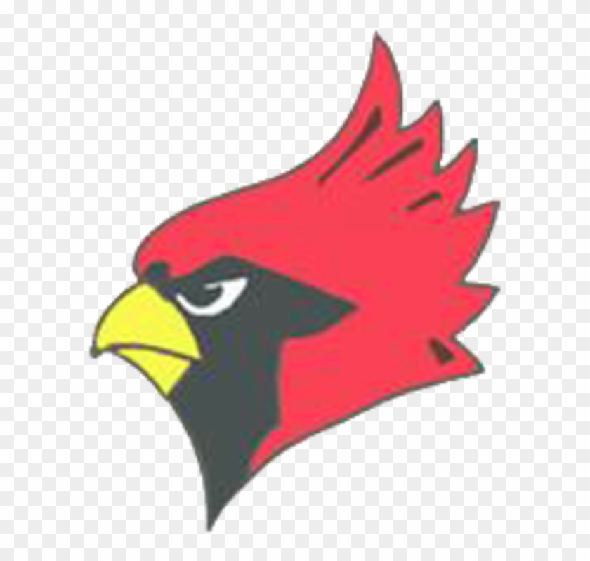 The Warrensburg Latham Cardinals Vs - Warrensburg Latham High School Cardinal #335040