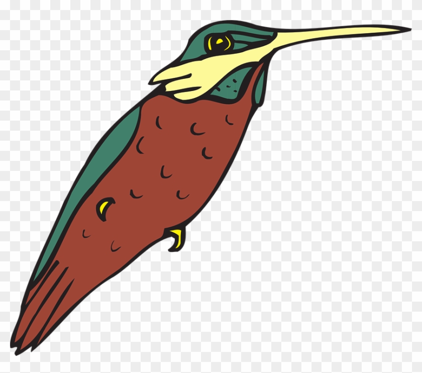 Bird - Hummingbird #335041