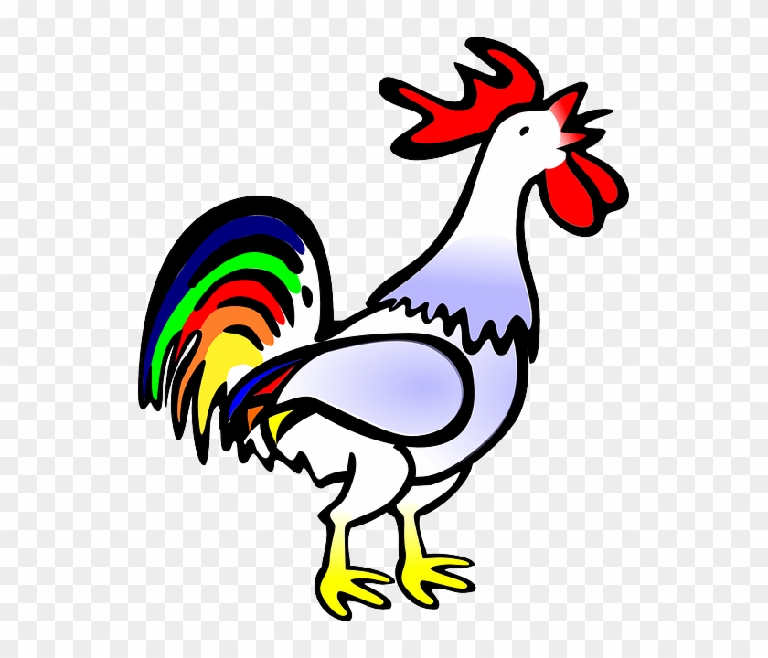 Bird, Cock, Farm, Animal - Rooster Free Clipart #335058
