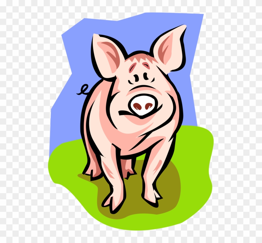 Vector Illustration Of Farm Agriculture Livestock Animal - Domestic Pig #335066
