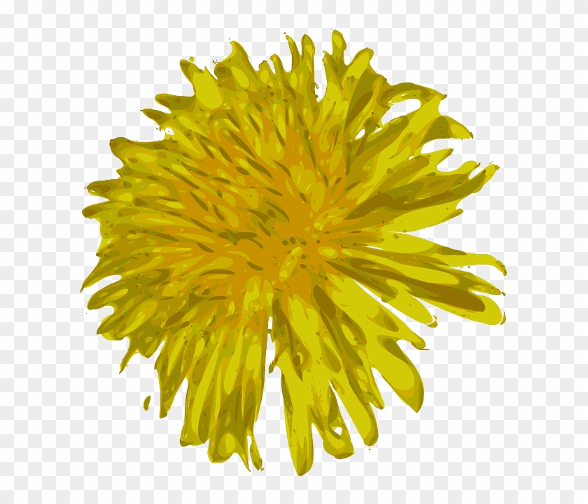 Plants, Flowers, Dandelion, Colorful, Pretty, Flower - Clip Art #335081