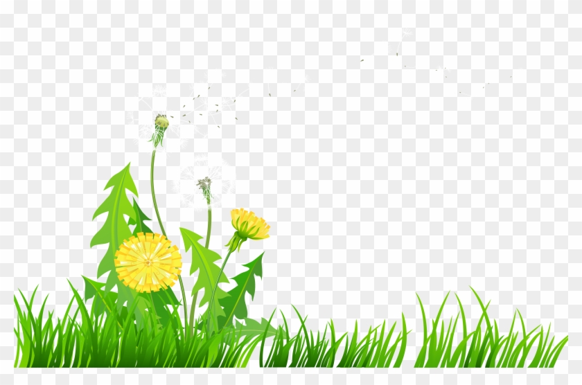 Grass With Dandelions Png Clipart - Dandelions Clip Art #335107