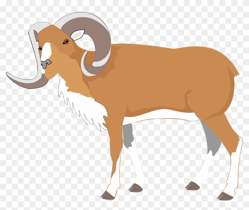 Ram, Goat, Brown, Large, Big, Animal, Horns - Gambar Hewan Kambing Kartun #335130