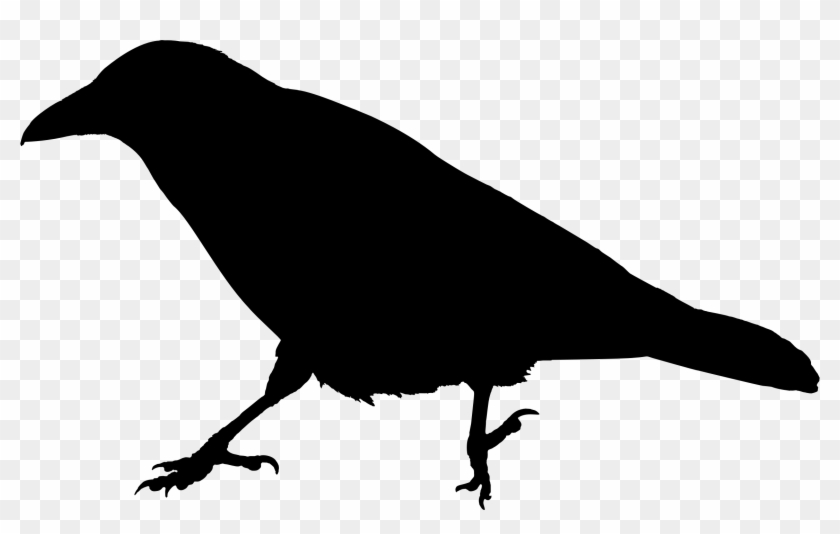 Crow Free Png Transparent Background Images Free Download - Raven Bird Silhouette #335131