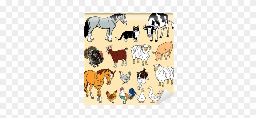 Vector Set With Domestic Animals Wall Mural • Pixers® - (16+) Домашние Животные (набор Из 12 Развивающих Карточек) #335136