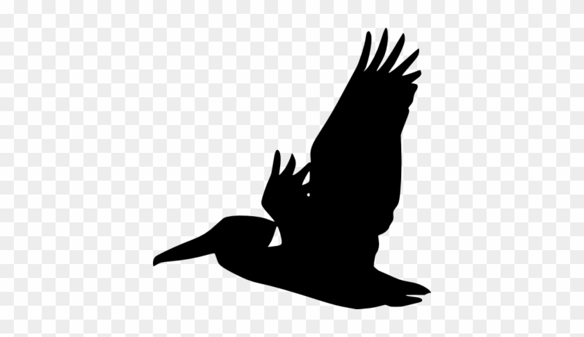 Flying Pelican Silhouette Clip Art At Photo Png Images - Black And White Bird #335153
