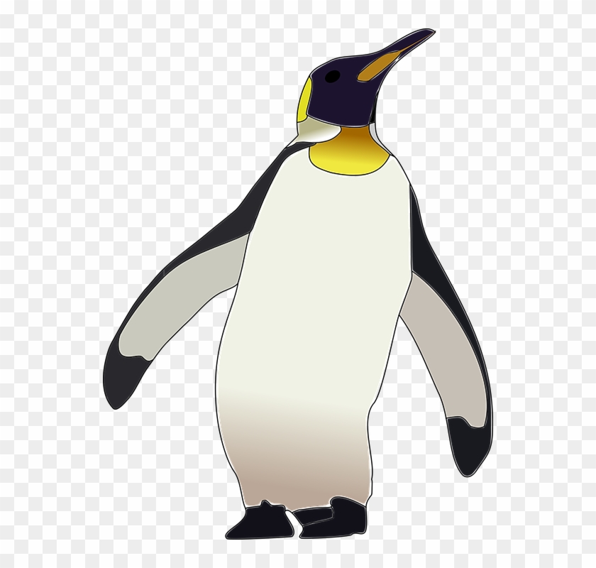 Image - Dibujo De Pinguino Emperador #335191