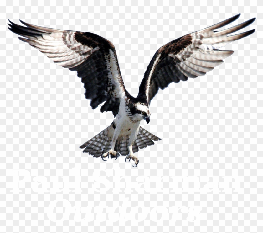 Paul Sharman Outdoors - Paul Sharman Outdoors #335207