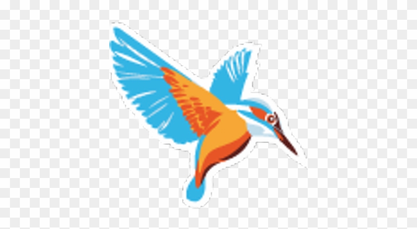 Kingfisher Korfball - Kingfisher Korfball Club #335245
