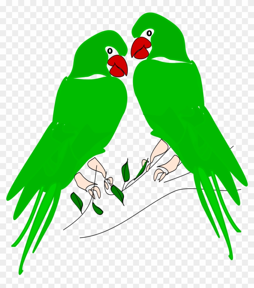 Download Parrot Png Transparent Images Transparent - Parakeet #335249