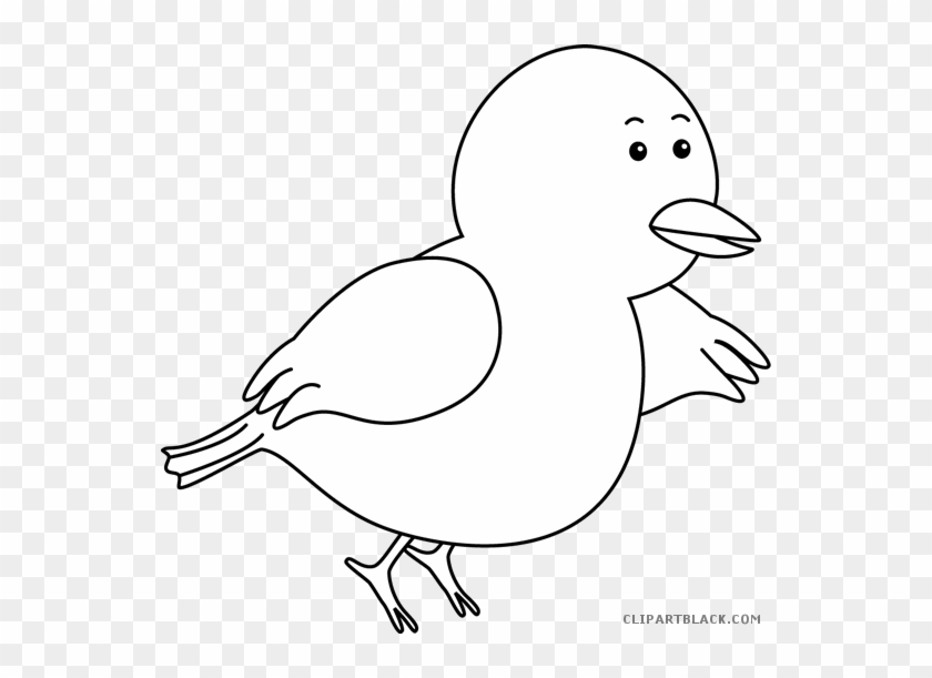 Flying Bird Animal Free Black White Clipart Images - Small Bird Clipart Black And White #335251