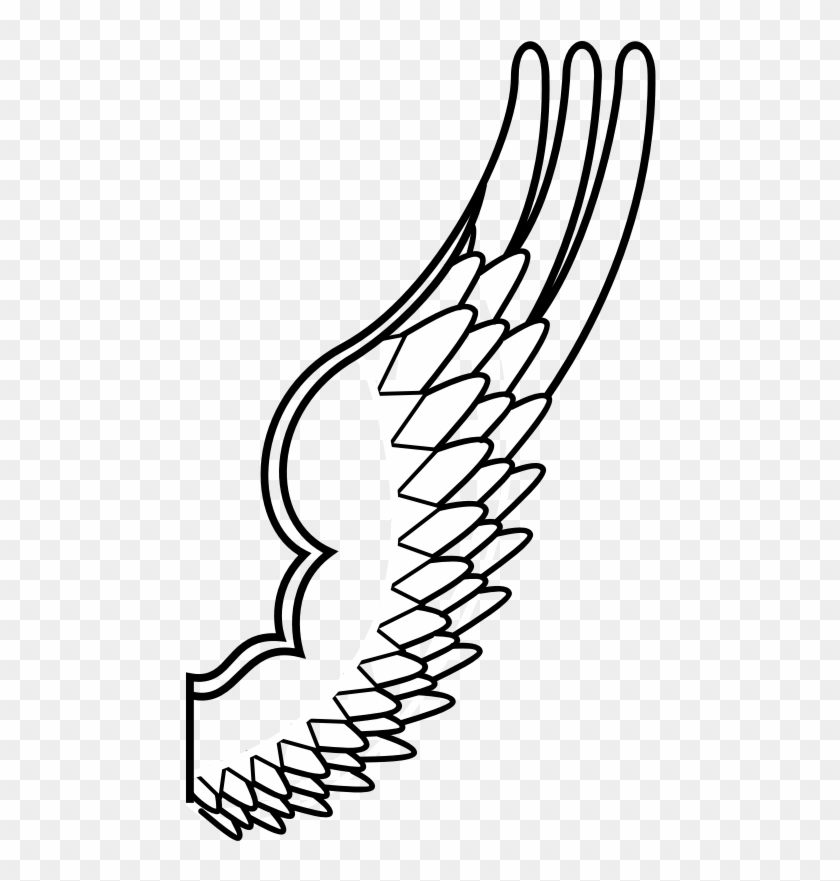 Archaic Drawing Of A Bird Wing - Cartoon Bird Wing Png #335274