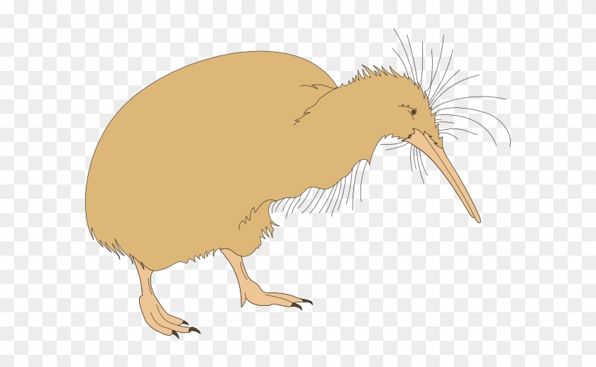 Kiwi Fuzz #335301