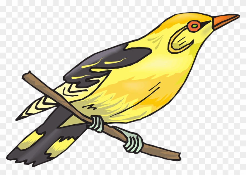 Finch Clipart Bird Branch - Finch Clipart #335348