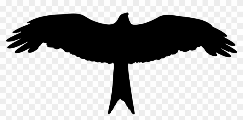 Eagle, Bird, Animal, Wings, Flight - Eagle Silhouette #335492