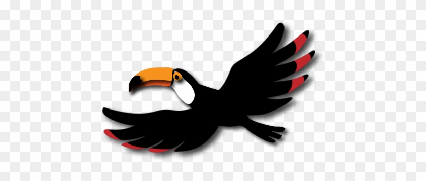 Toucan Bird Animation - Accipitriformes #335516