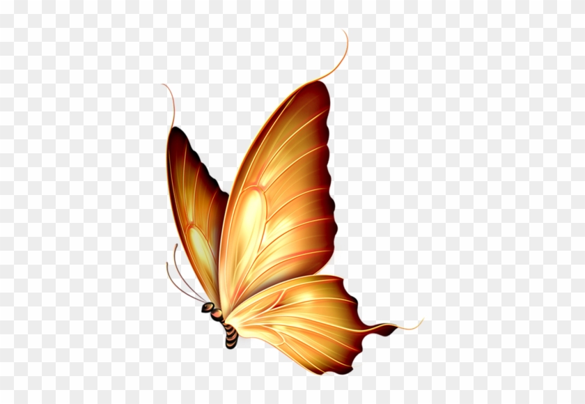 Bird Wings - Butterfly Png #335532