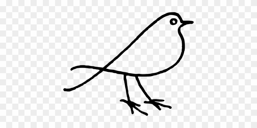 Animal Bird Doodle Stylised Bird Bird Dood - Bird Black And White #335572