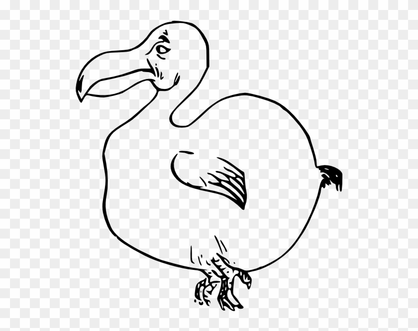 Dodo Bird Black White Line Art 555px - Dodo Bird Clip Art #335578