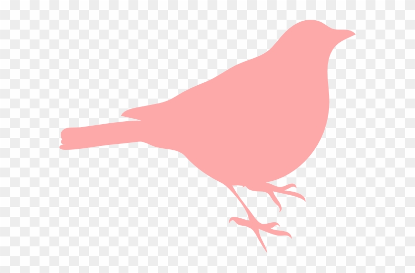 Pink Bird Silhouette #335607