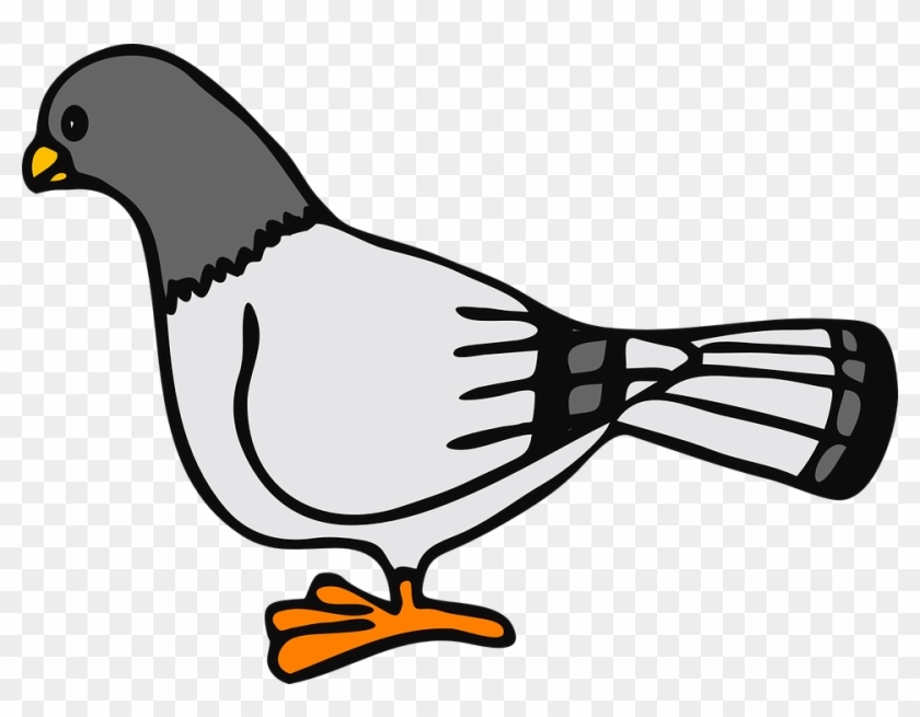 Pidgeons Clipart Freedom Bird - Pigeons Clipart #335611