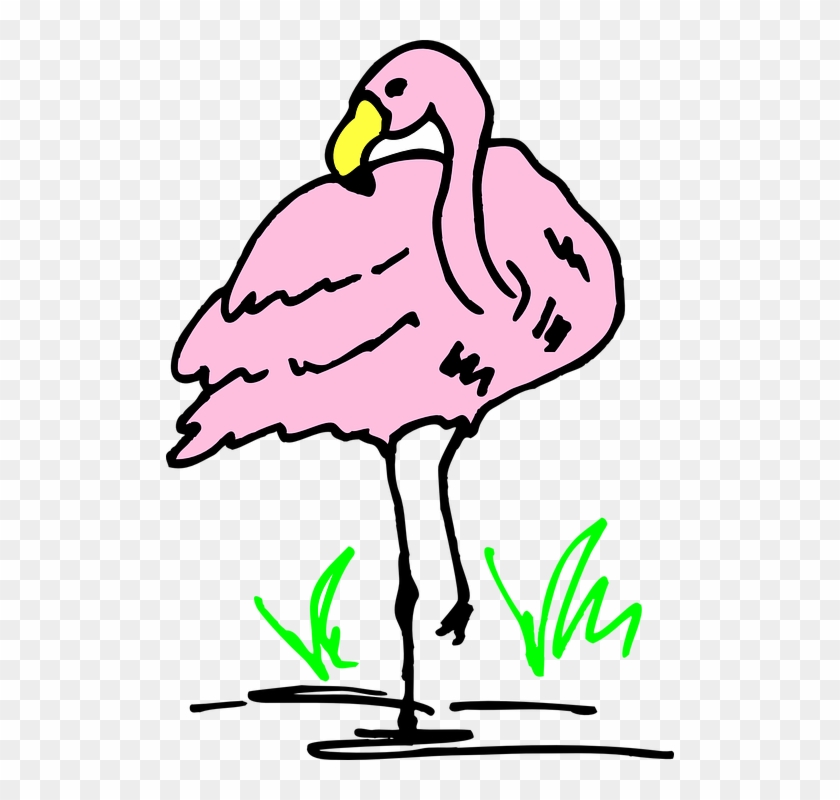 Cartoon, Pink, Bird, Grass, Art, Flamingo - New Home Congrats Card #335638