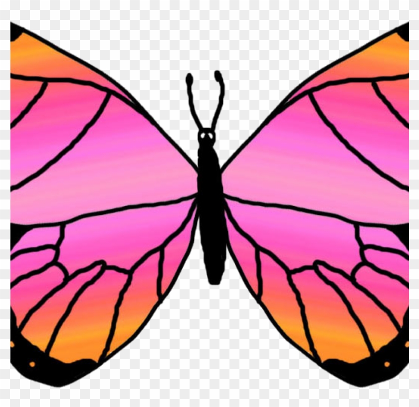 Free Butterfly Clipart Butterfly Clip Art Clipart Panda - Butterfly Clip Art #335646