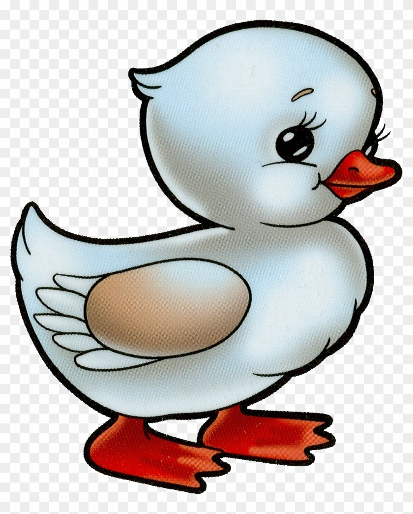 Clipart Duck #335686