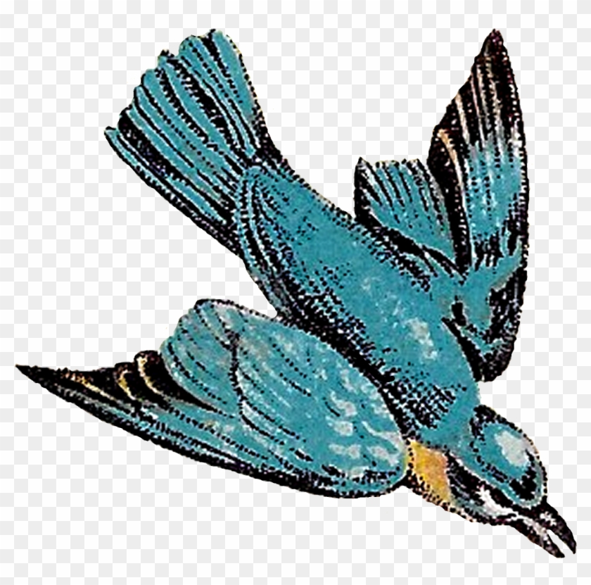 This Vintage Bird Drawing Artwork Is Very Pretty, Showing - Flying Bird Antique #335698