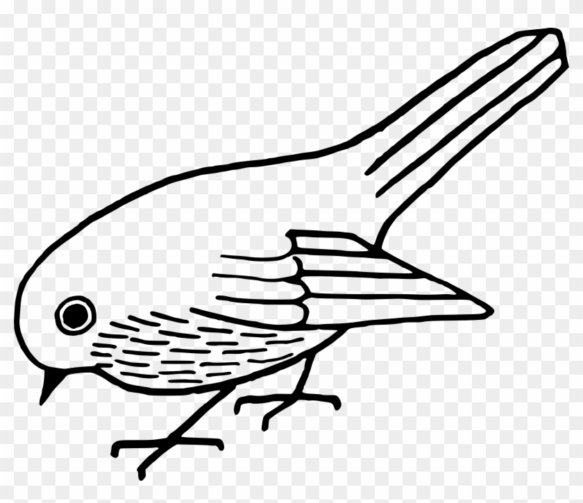 Bird Clipart Black And White - Sketch #335758