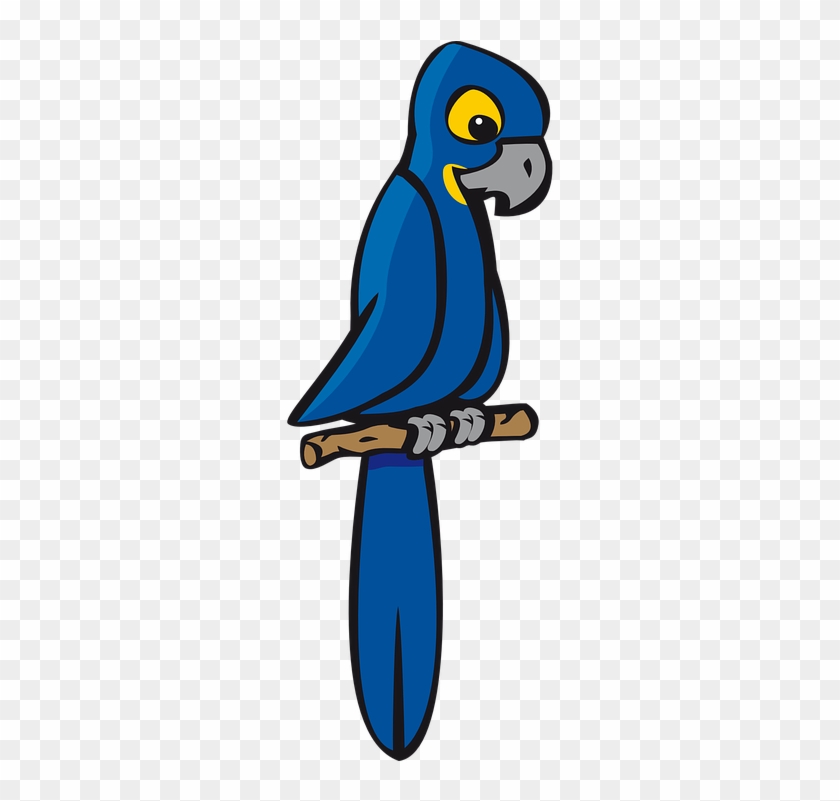 Bird, Blue, Jungle, Macaw, Parrot, Rainforest - Clip Art Blue Macaw #335863