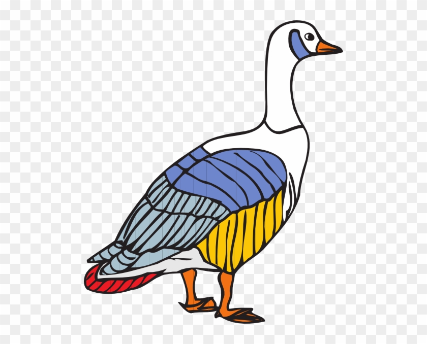 Colorful Goose #335898