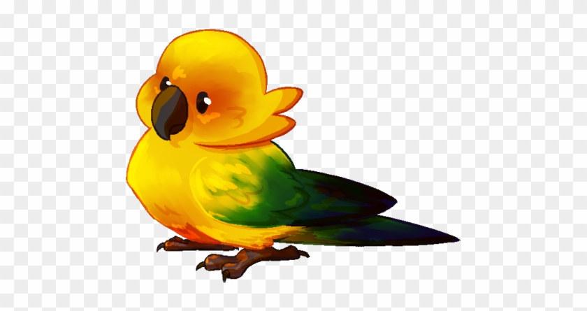 Bird Png Clipart - Sun Conure Cartoon Png #335939