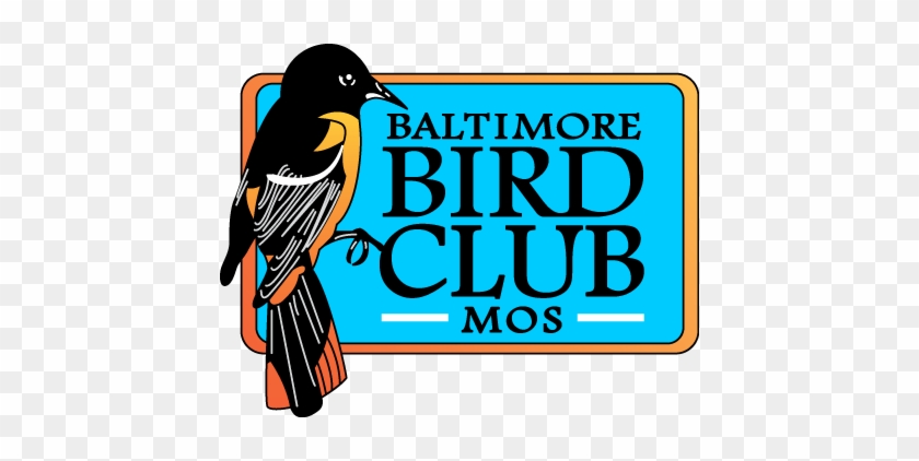 The Baltimore Bird Club - Logo Bird Club #335954