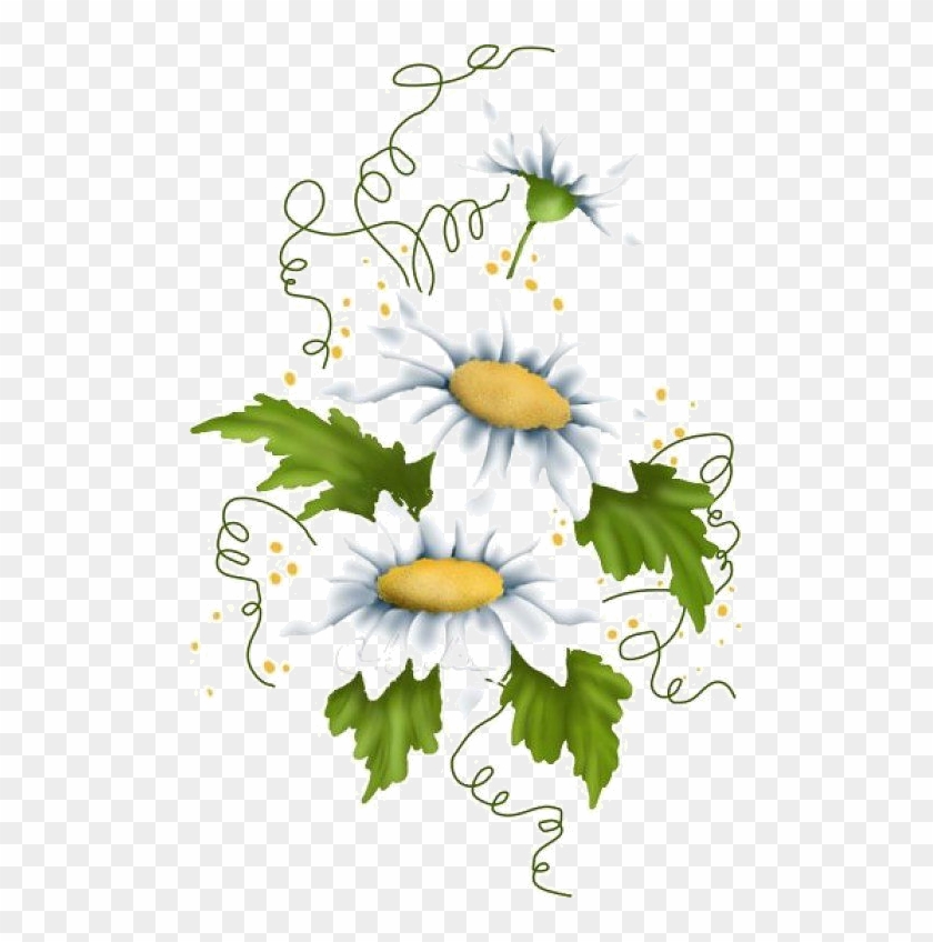 I Love Daisies <3 - Daisies Clip Art #335981