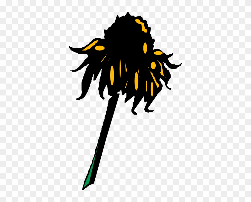 Wilting Sunflower Png #336033