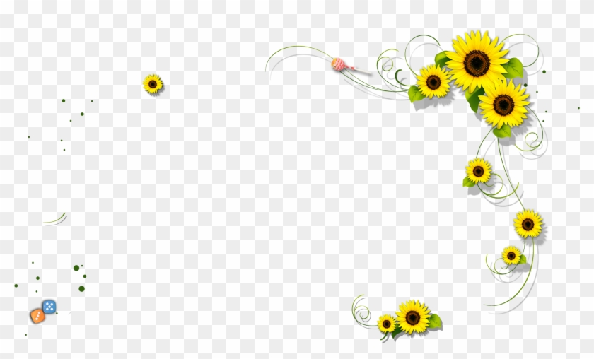 Little Sunflower Border - Sunflower Border #336039